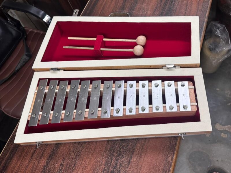 Metallophone With Mallets & Bag