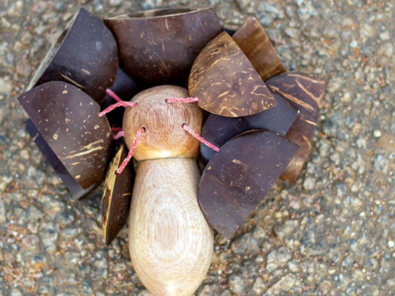 Coconut Rattle