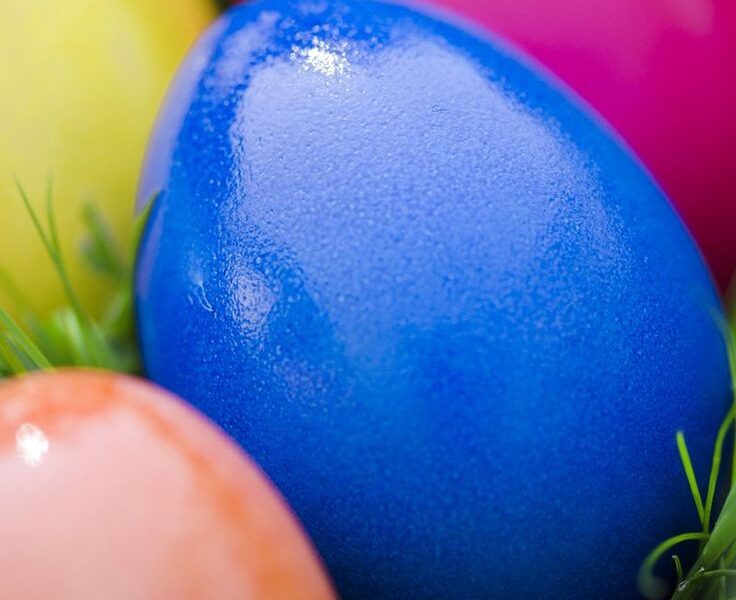 Egg Shaker Without Handle