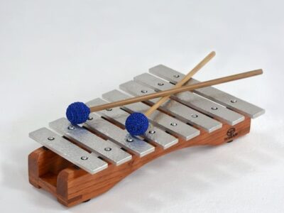 Metallophone With Mallets & Bag